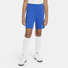 Nike-Dri-FIT Park III Shorts-Royal Blue/White-2160298